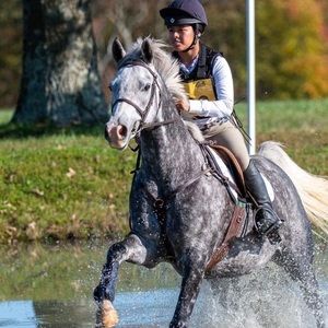 Meet your Posher, Jacqueline